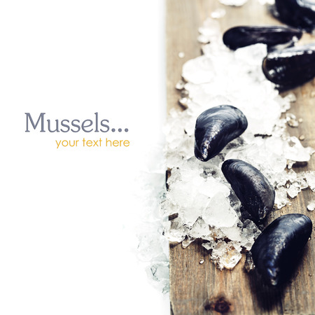 Fresh  mussels ready for cooking on ice (with easy removable sample text)の写真素材