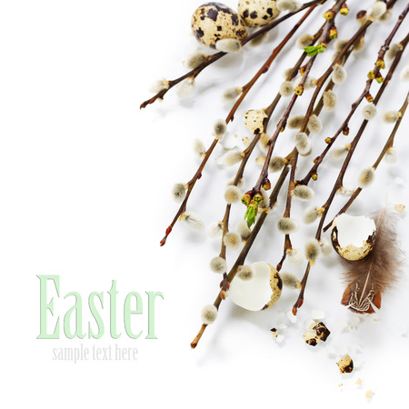 Easter still life of quail eggs and spring flowers (with easy removable text)の写真素材