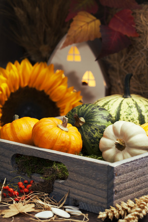 Autumn composition with little house and pumpkins  in wooden boxの写真素材