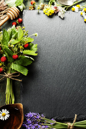 fresh Wild strawberries with flowersの写真素材