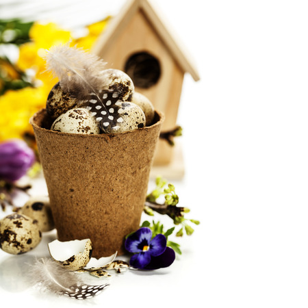 quail eggs in a flower pot and easter decorationsの写真素材