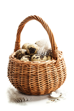 quail eggs in a basketの写真素材