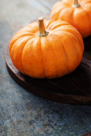 Studio shot of a nice ornamental pumpkins on dark backgroundの写真素材
