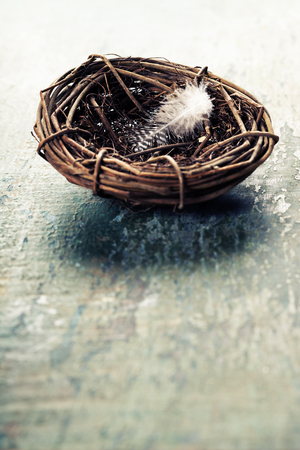 Easter composition with eggs and nest on rustic wooden backgroundの写真素材