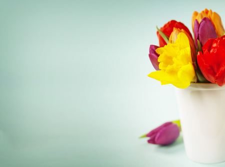 Spring flowers over blue backgroundの写真素材