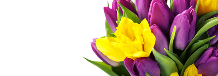 Spring flowers over white backgroundの写真素材