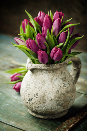 Purple Tulips on a wooden surface. Studio photographyの写真素材