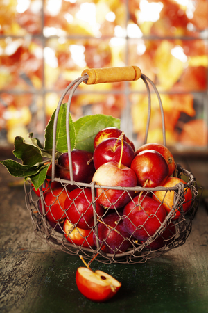 Apples in basket on old wooden backgroundの写真素材