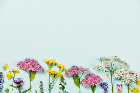 Flower composition on blue  with copyspace