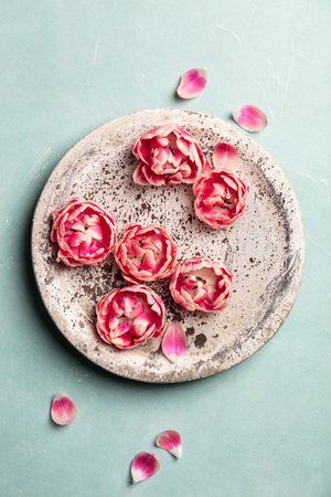 Pink flowers floating in water on blue backgroundの写真素材