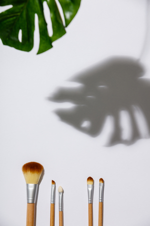 makeup brush and monstera leaves on a white backgroundの写真素材