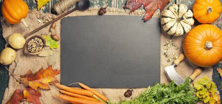 Healthy food cooking background. Vegetable ingredients. Fresh garden carrots, onions, pumpkins, ginger and spices on rustic wooden background, top view, copy spaceの写真素材