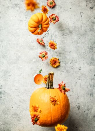 Levitating Pumpkin and Chrysanthemum against old concrete backgroundの写真素材