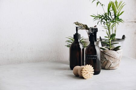 Zero waste, Recycle, Reuse, Sustainable minimalistic lifestyle concept. Eco-friendly items and ingredients for eco home cleaning and house plants, copy spaceの写真素材