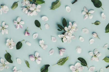 Flat-lay of white apple blossom flowers over light blueの写真素材