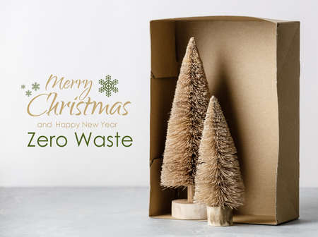 Coconut fiber Christmas trees in a box, zero waste conceptの写真素材