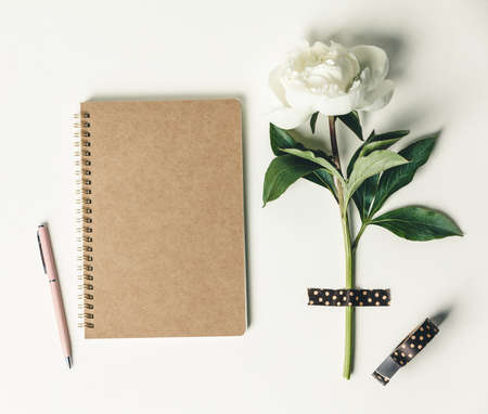 Flat-lay of Beautiful peony flower taped on white background and closed notebookの写真素材