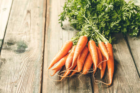Carrot. Fresh Carrots bunch on rustic background.の写真素材