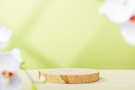 Wood slice podium, window shadow and white orchid flowers. Concept scene stage showcase for new product, promotion sale, banner, presentation, cosmeticの写真素材