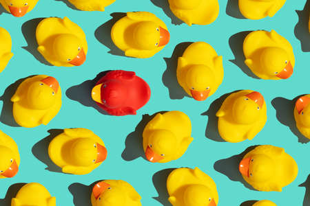 One out unique rubber duck concept on a blue backgroundの写真素材