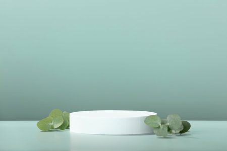 Abstract empty white podium with eucalyptus leaves on blue background