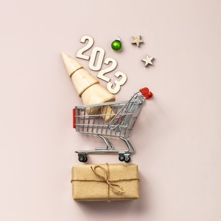 Holiday shopping concept. Miniature Christmas tree in shopping trolley cartの写真素材