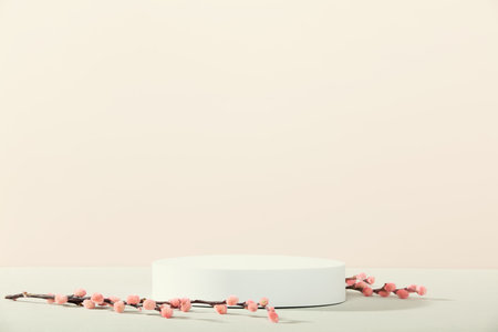 White foam circle podium and spring flowers on pink background. Mock up stand for product presentation. 3D Render. Minimal concept. Advertising templateの写真素材