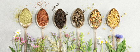 Top view, organic tea collection and Healing herbs on concrete background