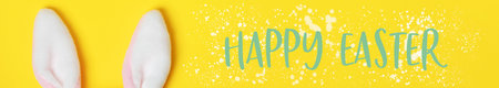 Easter greeting card with Plushy bunny ears on bright background. Easter minimal conceptの写真素材