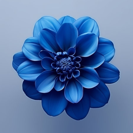 Close-up of a blue flower with detailed stamens and dew dropsの素材