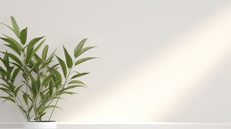 Blurred shadow from leaves plants on the white wall. Minimal abstract background for product presentation. Spring and summer.の素材