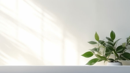 Blurred shadow from leaves plants on the white wall. Minimal abstract background for product presentation. Spring and summer.の素材