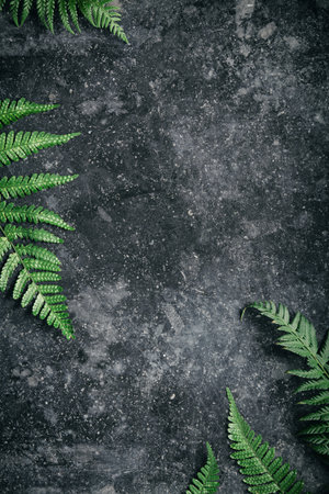 Close-up of vibrant green fern leaves against a dark, textured surface, creating a natural contrast.の写真素材