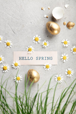 Hello spring text card with chamomile daisies, golden Easter eggs, feathers and grass on light concrete background. Minimal festive flat lay with copy space.の写真素材