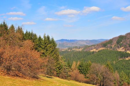 Typical hill in wallachiaの写真素材