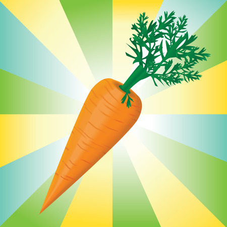 Detail vector illustration of the carrotのイラスト素材