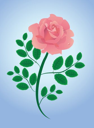Pink  abstract illustrated vector rose with leavesのイラスト素材