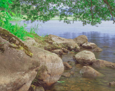 The shore of the city river with stones and vegetation, bent by a treeの写真素材