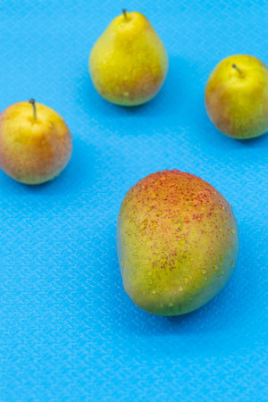 In the vertical photo on the blue background are ripe fruits. One small mango, three pears of yellow...