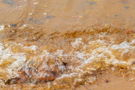 The image shows natural objects in Russia. This is a part of the river on the city Bank at a close...