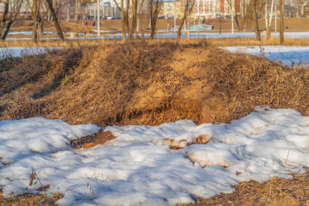 In the park on a sunny day in late March on a pile of withered grass there is a little snowの写真素材
