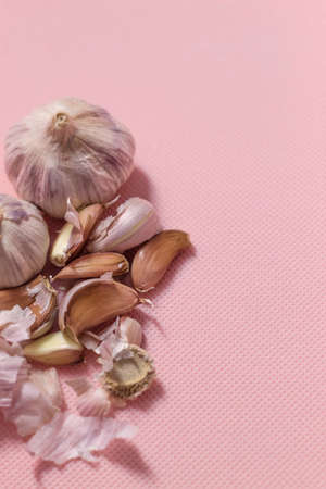 The photo shows purple garlic. Garlic lies on a pink background. Two heads of garlic whole and with the husk, one head of garlic on the contraryの写真素材