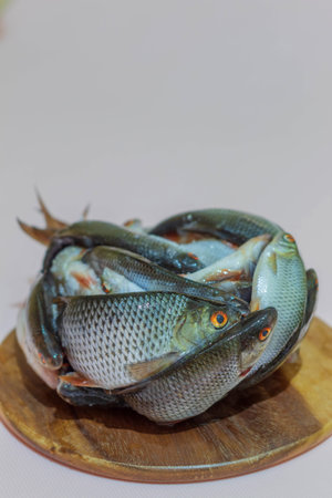 The photo shows an image of a river fish in a frozen compressed form. The fish lies on a round...