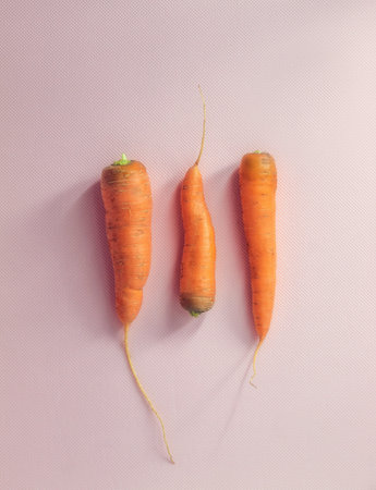 The vertical image shows the image of raw food from your own garden. These are three carrots without...