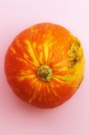 On the vertical photo there is an image of a whole pumpkinの写真素材