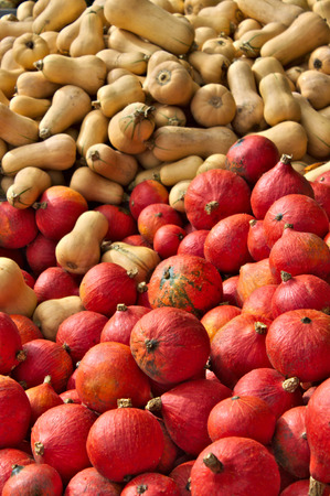 A pile of pumpkinsの写真素材