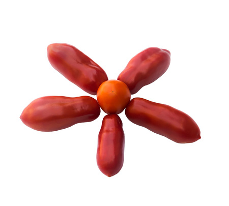 drawing sun tomato on a white backgroundの写真素材