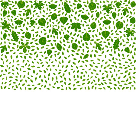 Spring background made of different tree leaves. Various elements for design. Cartoon vector illustration. Green fresh colorsのイラスト素材