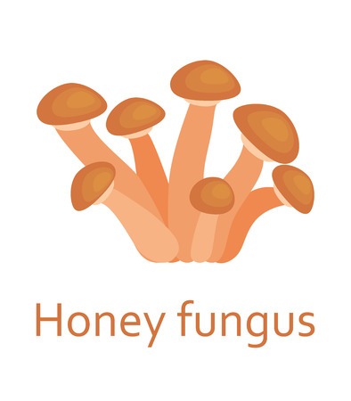 Edible mushrooms flat icon. Honey fungus. Vector illustration.のイラスト素材