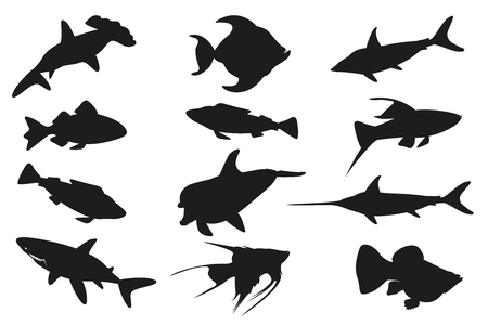 Fish set isolated on white background. illustrationのイラスト素材